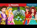 Le Myosotis | Forget Me Not Story | Contes De Fées Français