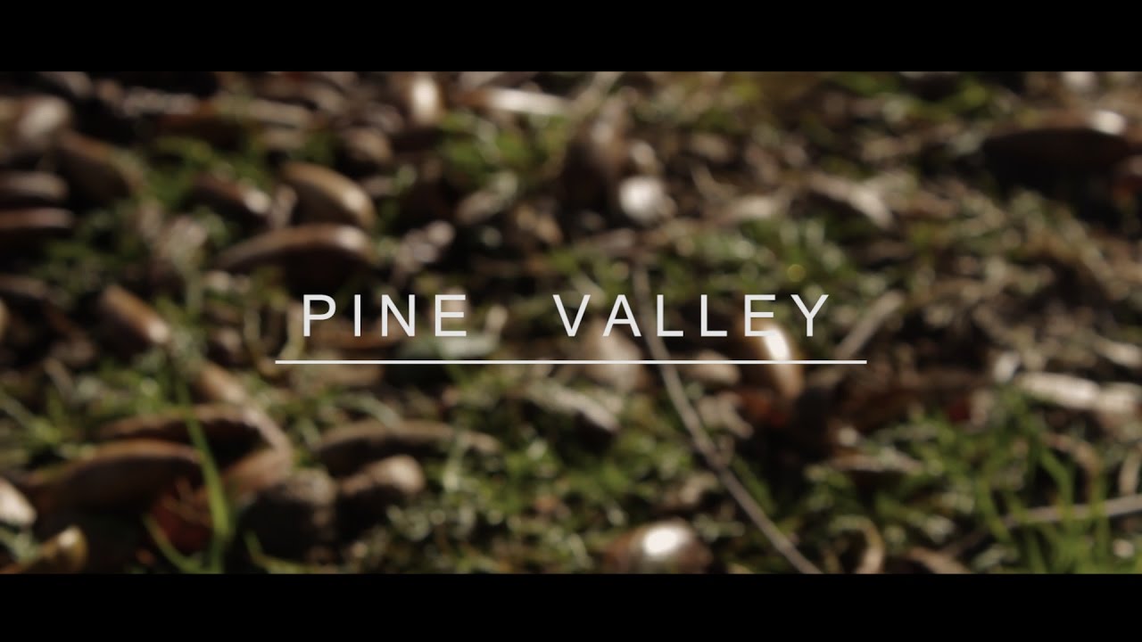 PINE VALLEY YouTube