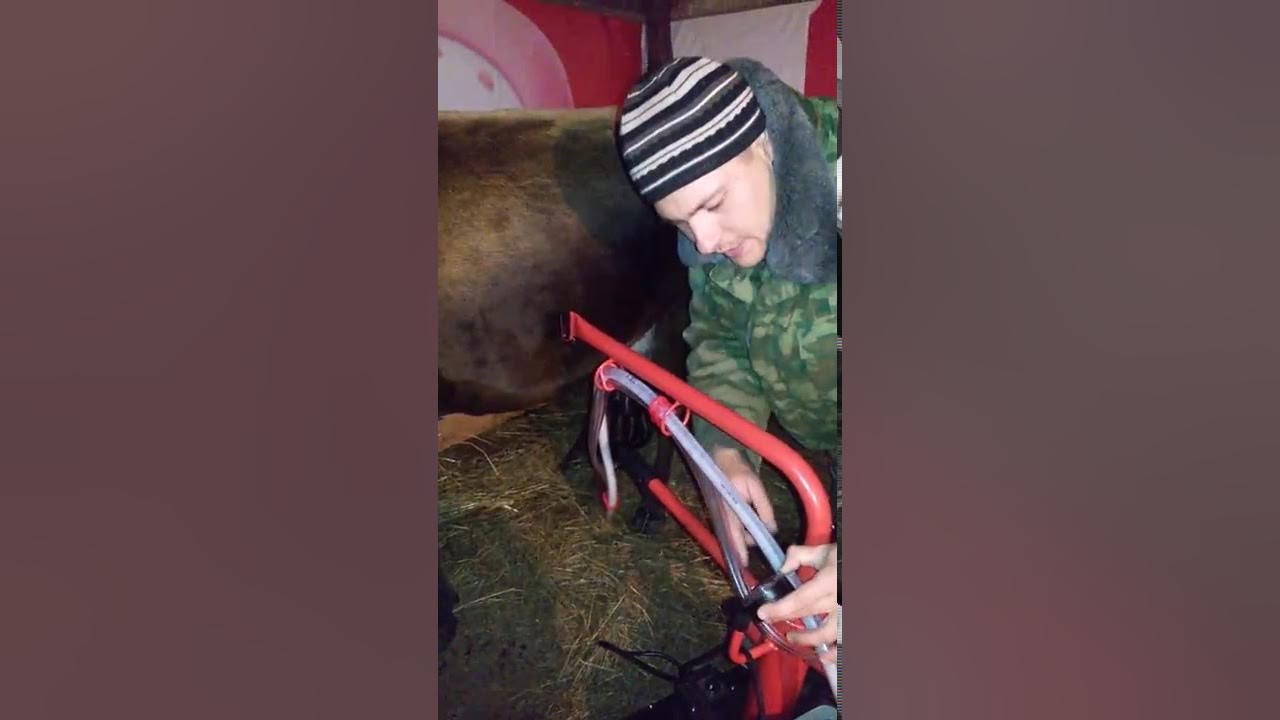 Турецкий доильный аппарат для дома 1 часть. - YouTube