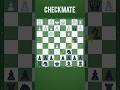 Checkmate | The Best Chess Tricks