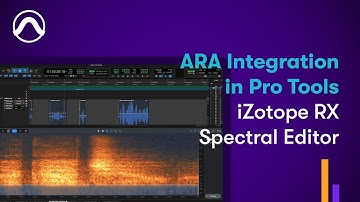 How to Use iZotope RX Spectral Editor ARA Plugin in Pro Tools