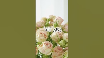 سورة الأحزاب بصوت الشيخ ياسر الدوسري