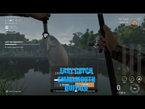 How to catch