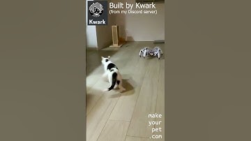 The Cat and the Hexapod!