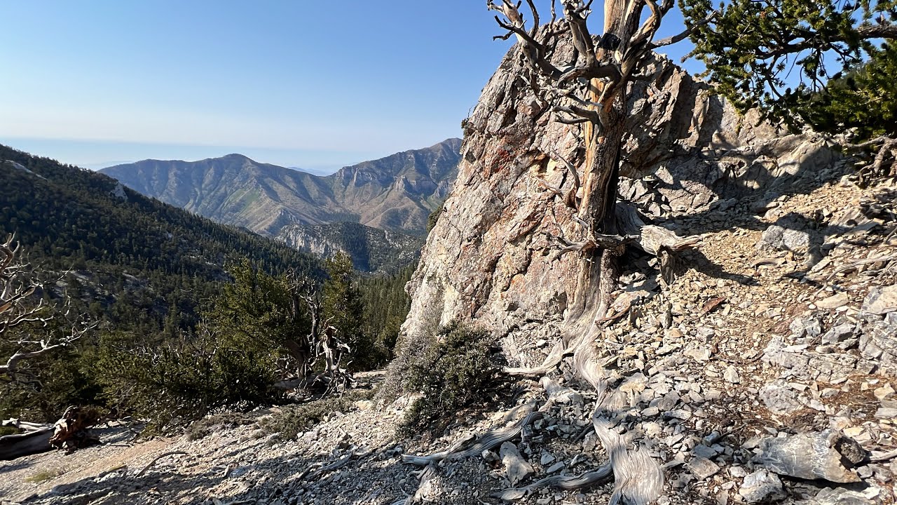 Fletcher Peak via Wild Horse Canyon