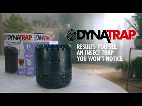 DynaTrap 3 Indoor Insect Trap