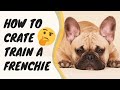 Crate Train French Bulldog