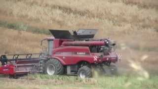 Moisson Colza 2013 : CASE IH 9230 AFS - Harvest in French Hills