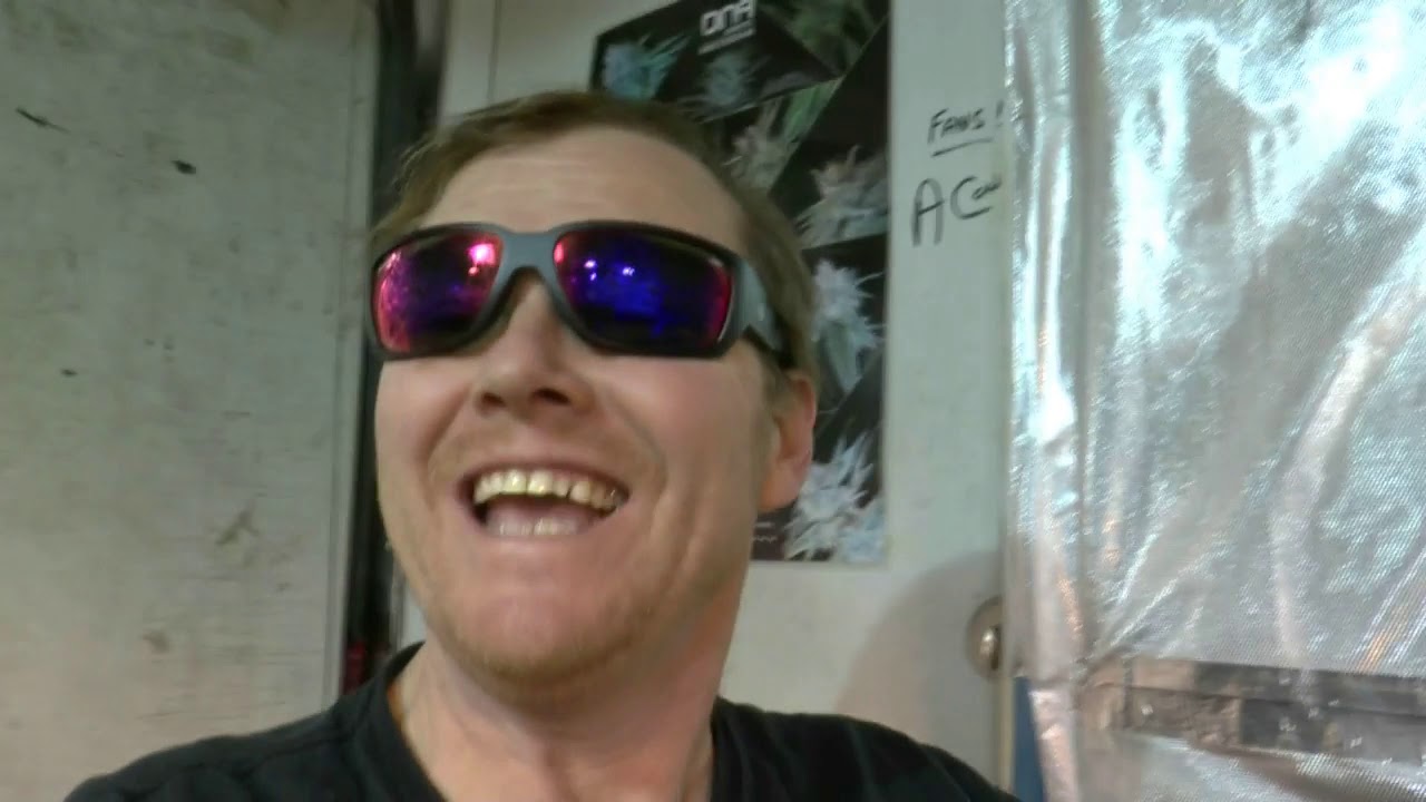 Interrupted Light Cycle Re Vegging