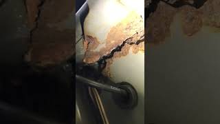 IMG 7964