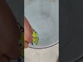 wow beautiful 😍 amazing ❤️🕊️ flying 🕊️ Bird drawing on the hend ✋#viral #art