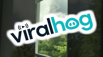 Geweldige trechterwolk || ViralHog