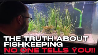 More Than A Hobby The Power Of Fish Keeping