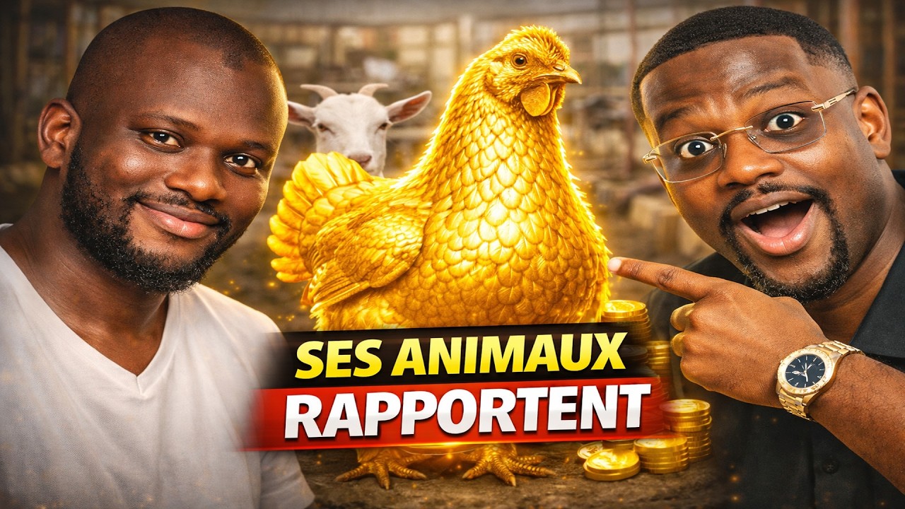 Agriculture, élevage, logistique : il gère tout — l’histoire de Dannah Condé