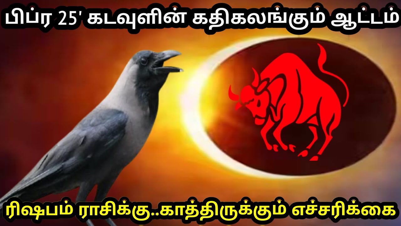 பிப்ரவரி 25' கடவுளின் கதிகலங்கும் ஆட்டம் !ரிஷபம் ராசிக்கு.. காத்திருக்கும் எச்சரிக்கை ! Firewithrp