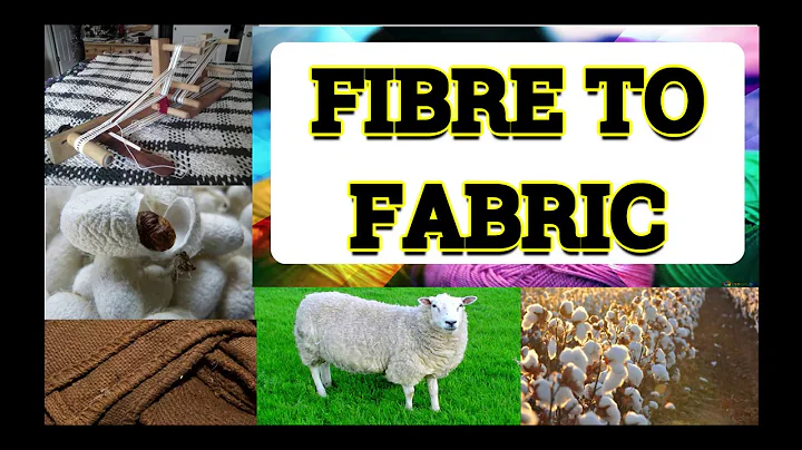 CLASS 6 SCIENCE CHAPTER 3 FIBRE TO FABRIC PART 2