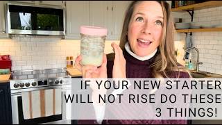 How to Fix a Sourdough Starter That Won’t Rise, Double or Bubble Profile
