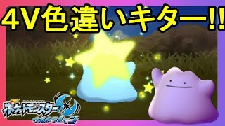 突然の色違いメタモンに驚きすぎてやばかったｗ ポケモンウルトラサンムーン Youtube