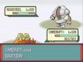 Pokemon emerald  battle vs pyramid king brandon silver