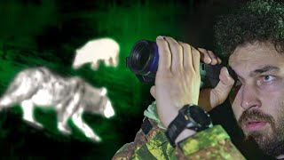 Termal Kamera İle Vahşi̇ Hayvanlari İzlemek
