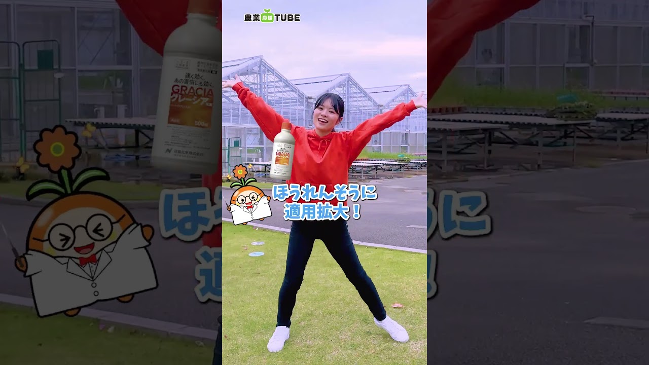 グレーシア乳剤が「ホウレンソウケナガコナダニ」に適用拡大しました！【part1】