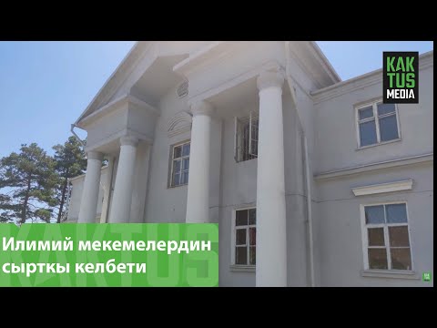 Video: Кытайдын сырткы келбетинин жана өзгөчөлүктөрүнүн сүрөттөлүшү