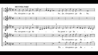 Palestrina: Ego sum panis vivus 5vv - Sixteen