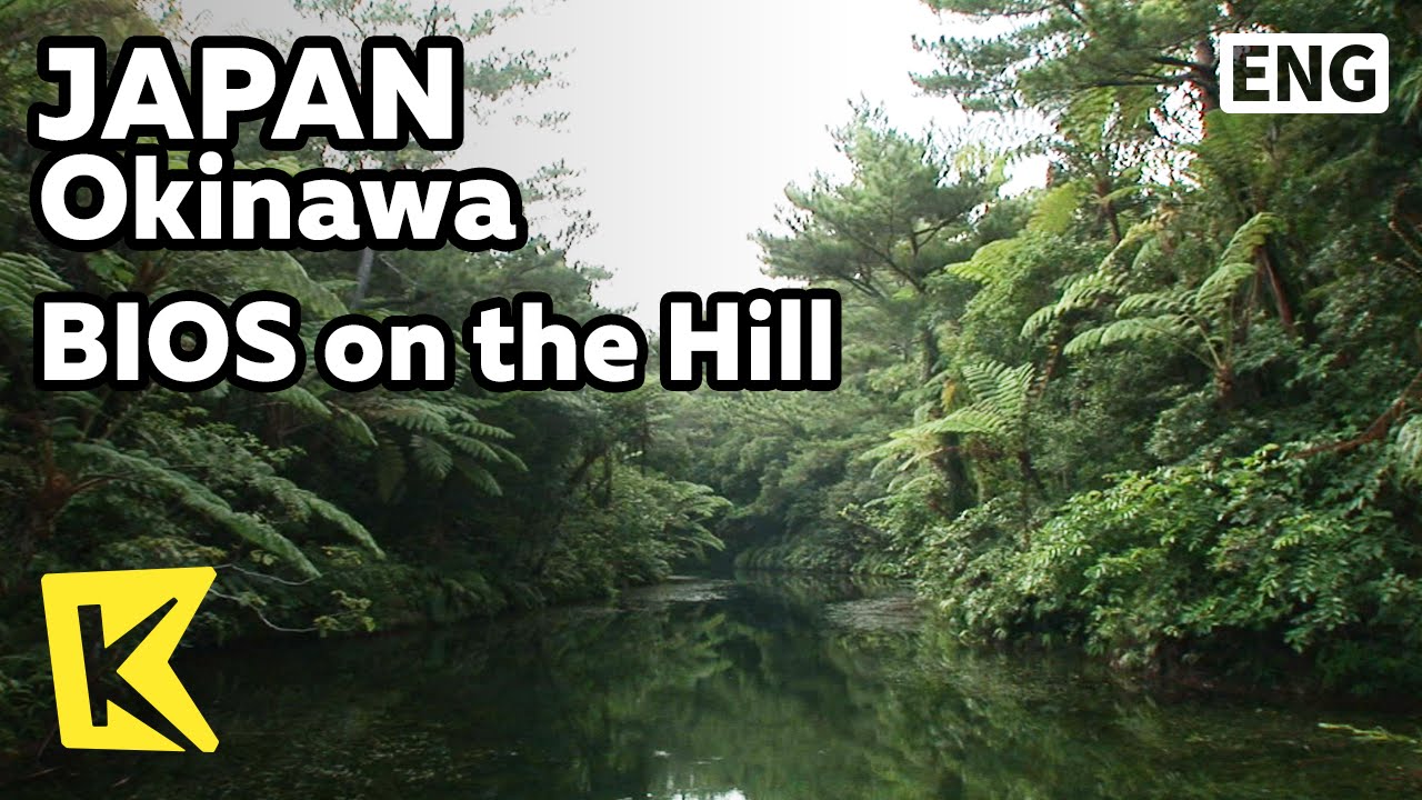 【K】Japan Travel-Okinawa[일본 여행-오키나와]습지 공원, 비오스의 언덕/BIOS on the Hill/Reed ...