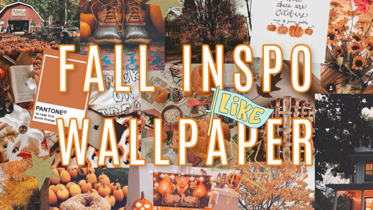 10 Autumn Collage Wallpaper Ideas for PC  Laptop  Hello Pumpkin  Sweater  Weather 1  Fab Mood  Wedding Colours Wedding Themes Wedding colour  palettes