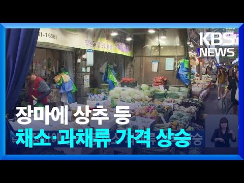 장마에 상추 등 채소·과채류 가격 상승 / KBS  2024.07.21.
