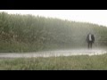 Miniature de la vidéo de la chanson Dust In The Wind