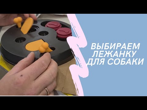 Лежанки и игрушки для собак. Как выбрать?