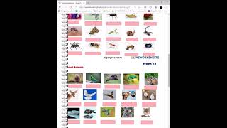 Liveworksheets, entrar a mi cuenta y hacer hojas