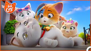 Що сталося з Неко? 🐱❓🤔 | 44 Cats