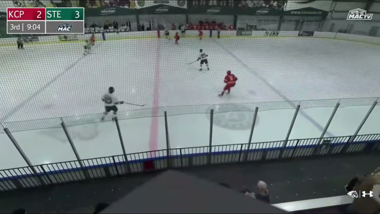 Goal #10 Jan 17, 2026 vs Kings