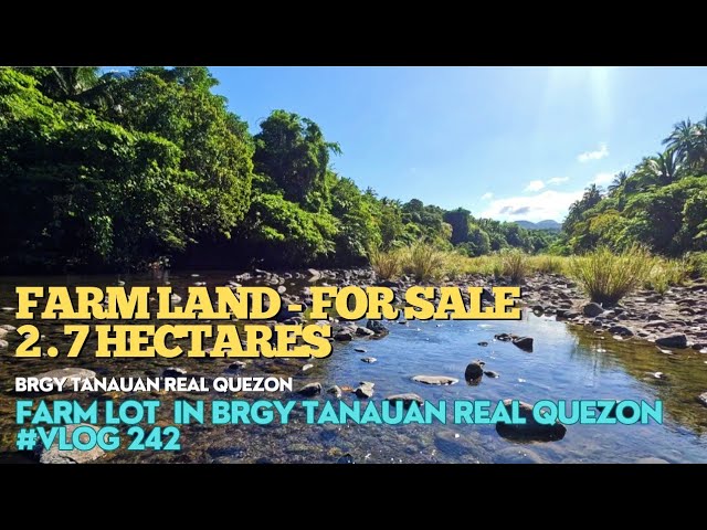 #vlog242  2.7 HECTARES (35 PESOS PER SQM)  OCT TITLE MATURED CLOA READY FOR TRANSFER TO TCT class=