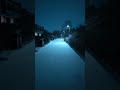 Snow Night In Canada #shorts