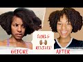 How to Revive DRY Hair | ApHogee Two- Step Protein Treatment