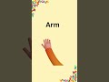 A for Apple 🍎 | Learn Letter A 🔤 | ABC for Kids