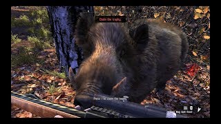 Domuz Avı Cabela's Big Game Hunter Pro Hunts