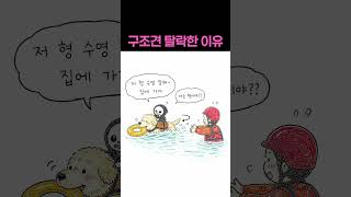 구조견 시험 탈락한 이유