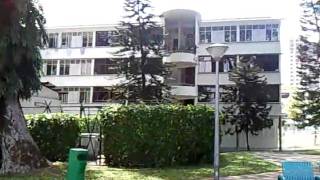 Video0029.mp4