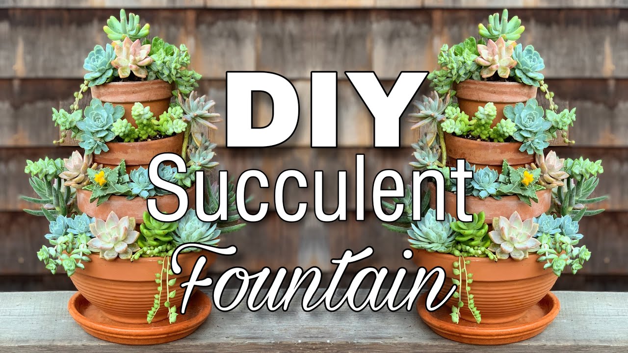 DIY Succulent Fountain