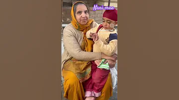 Nani Nal Nanke Punjabi Dailyvlog Song Views Trending Viralvideo 
