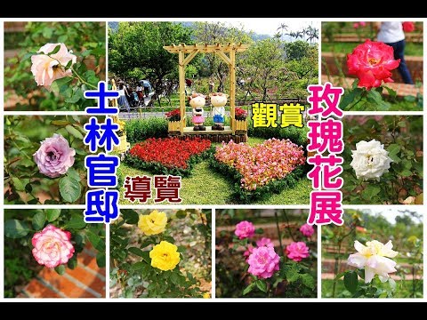 [台北旅遊景點] 士林官邸遊賞五顏六色玫瑰花和月季花浪漫盛開，簡易導覽和交通指南