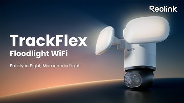 See EVERYTHING At Once! Reolink