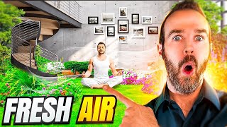 5 ways to Improve your homes air quality 🍃