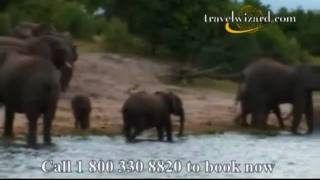 Botswana's Chobe Chilwero : Africa Travel Video