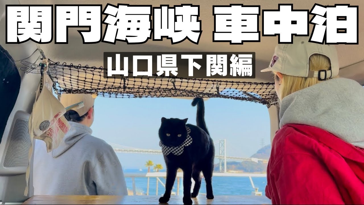 【猫１匹と夫婦２人】山口・下関で車中泊/唐戸市場の新鮮な海鮮でふぐ三昧車中飯
