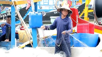 Đồng hành cùng ngư dân vươn khơi bám biển | BRT TV